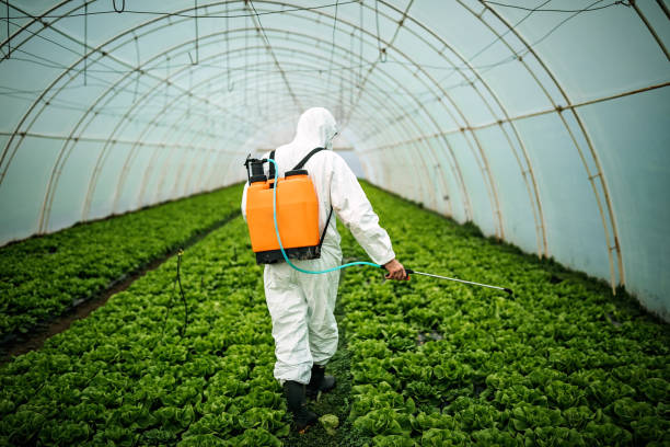 Best Pest Control for Businesses  in Logan, WV