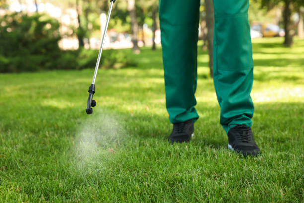 Best Exterminator Services  in Logan, WV