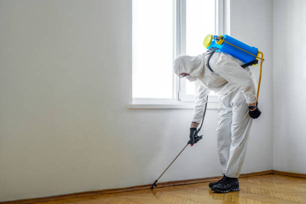 Best Pest Removal Services  in Logan, WV