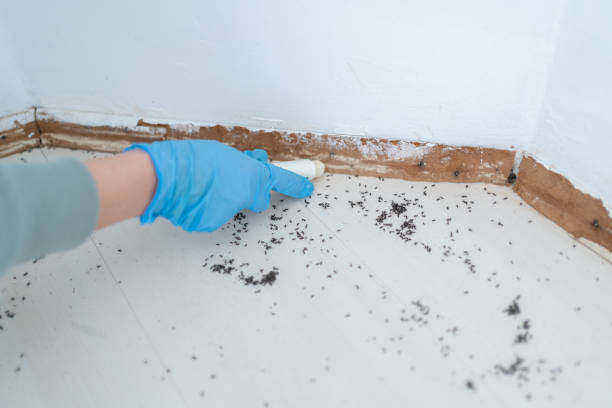Best Commercial Pest Control Services  in Logan, WV